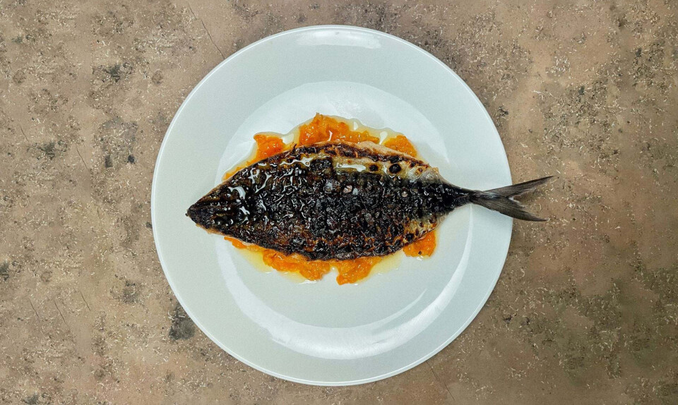 Her vil vi spise i august