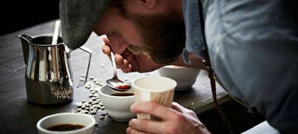 Hvad er egentlig forskellen på en macchiato og en cortado?