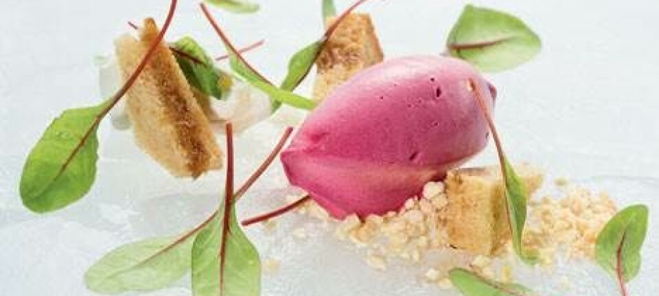 Rødbedesorbet med friskost og sirupskage