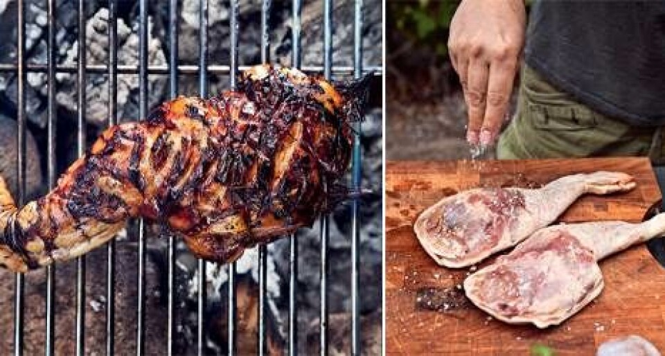 Grillmad: 5 lækre retter til dig og din grill