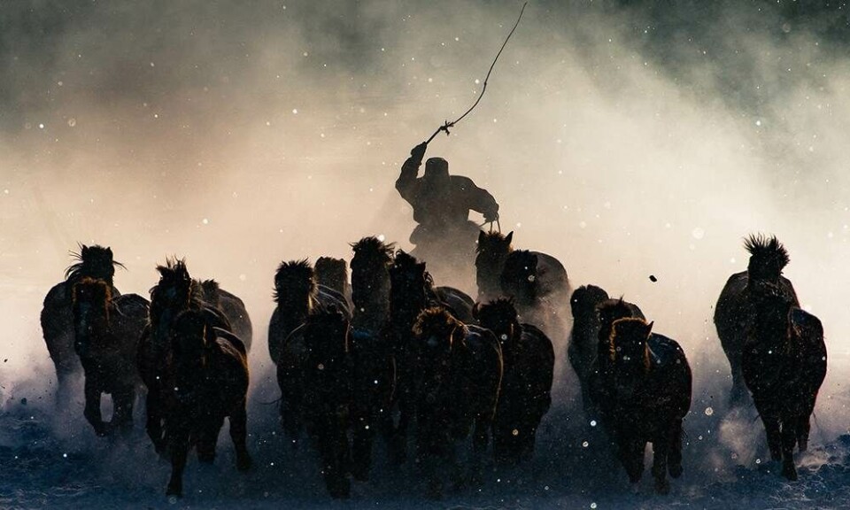 National Geographic billeder