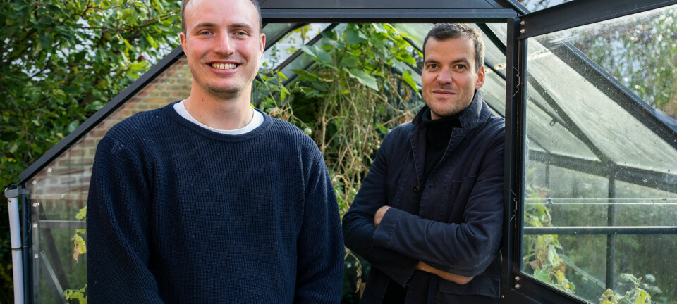 God kaffe, hjemmedyrkede meloner og lange løbeture: Sebastian Quistorff har fundet formlen på, hvordan man sætter tempoet ned