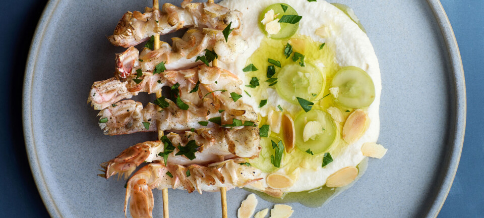 Sådan laver du den ultimative sommerret: Grillede jomfruhummere med ajo-blanco creme