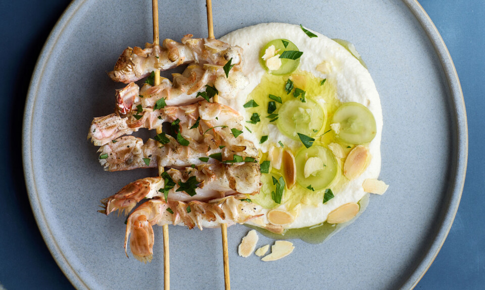 Sådan laver du den ultimative sommerret: Grillede jomfruhummere med ajo-blanco creme