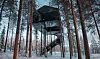 treehotel The 7th room