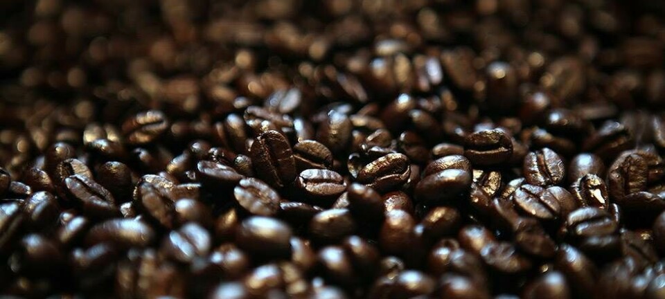 Dødens kaffe trukket tilbage fra markedet: Den er giftig