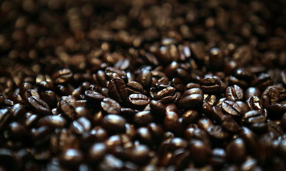 Giftig Death Wish-kaffe