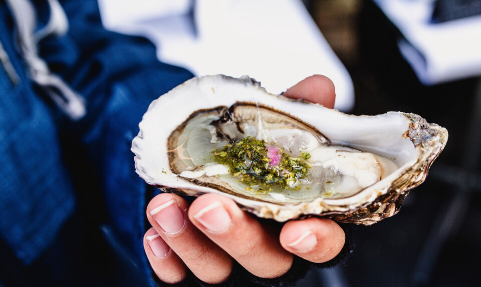 Østers på 6 forskellige måder