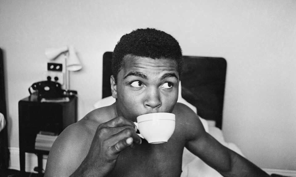 Jeg har altid villet drikke mindre kaffe. Det er slut nu