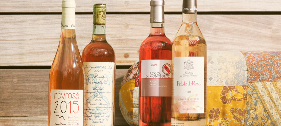 Kølige dråber: Her er fire gode rosévine til terrassen