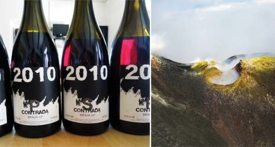 Anbefaling: Vinene fra Etna