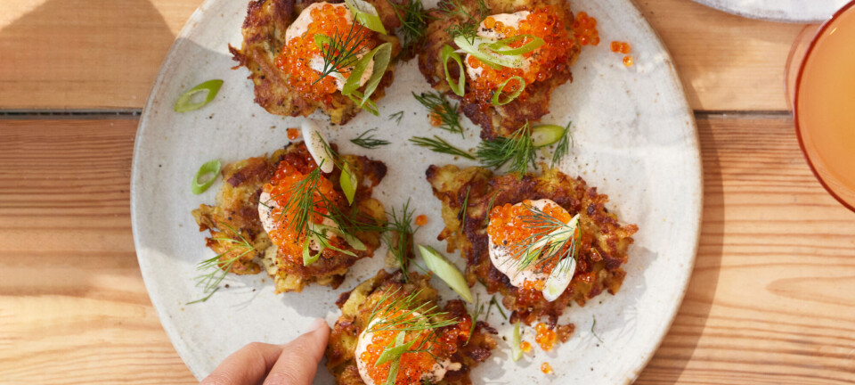 Næsten som påskesol på en tallerken: Disse latkes med jordskok, kimchi-mayo og rogn er sande forårsbebudere