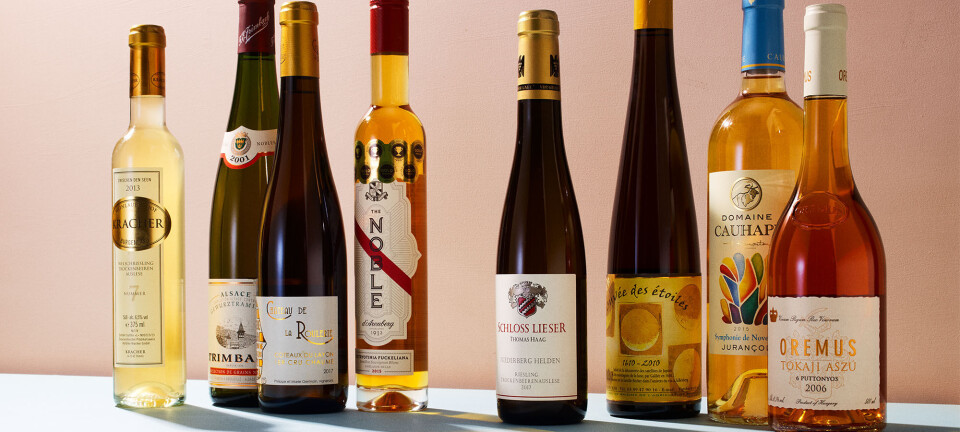8 vine med svampen botrytis, du skal prøve