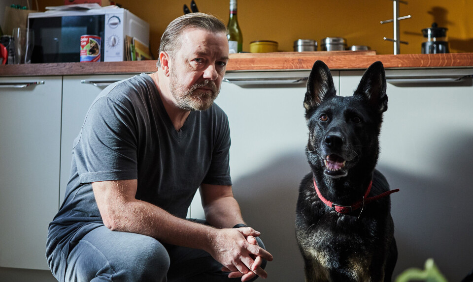 After Life med Ricky Gervaise
