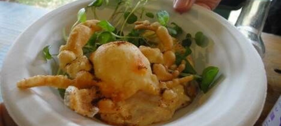 Blød pasta med taskekrabbe og sprødt brød
