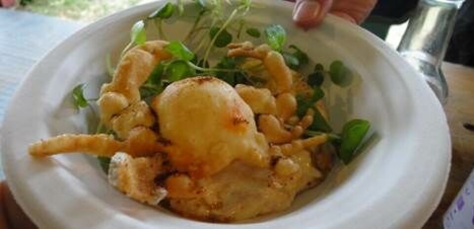 Blød pasta med taskekrabbe og sprødt brød