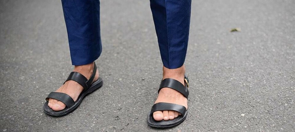 9 tendenser du bør kende denne sommer