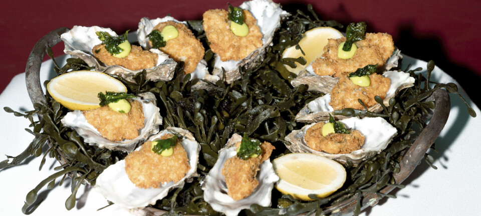 Man kan faktisk lave nuggets af østers, og de smager virkelig godt