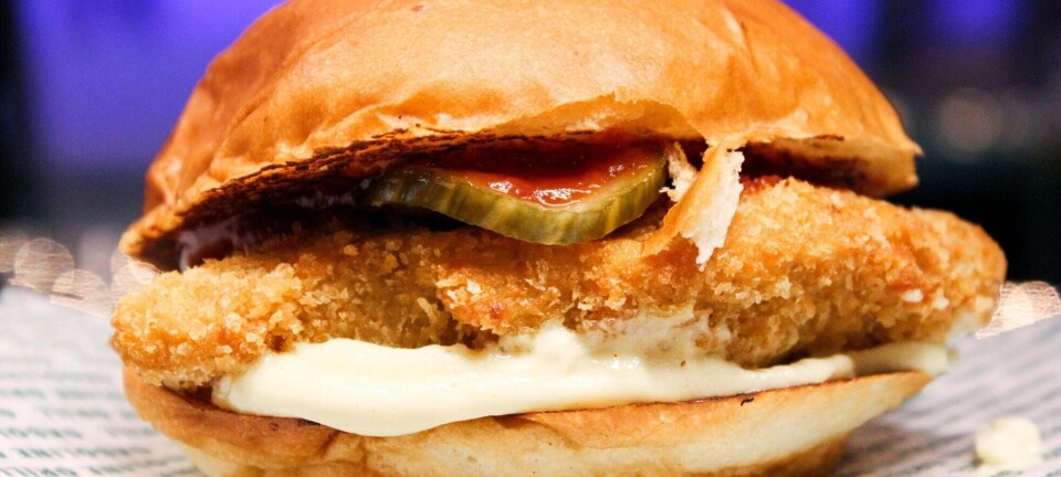 Alle elsker burgere: Ny burgerfestival ser dagens lys