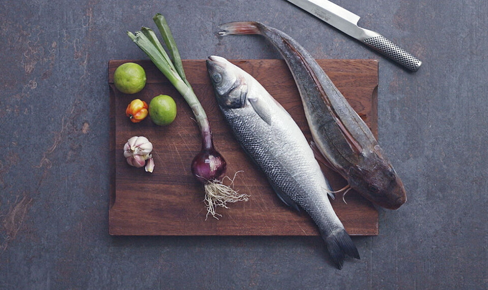 Sådan skal den skæres: ceviche af havbars