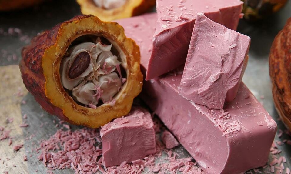 ruby chocolate cocoa pod