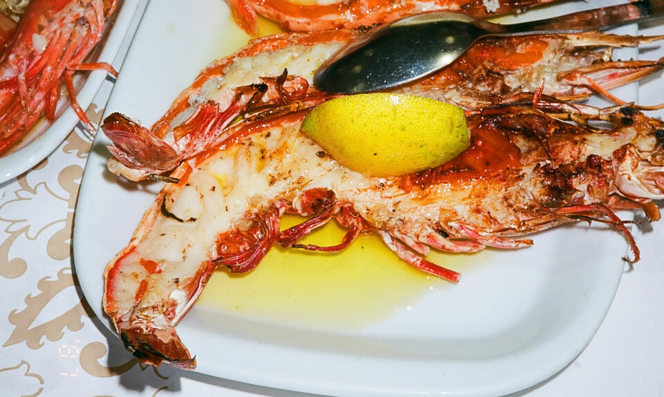 Grillede skaldyr og små fadøl: Sådan spiser, drikker og lever du godt i Lissabon