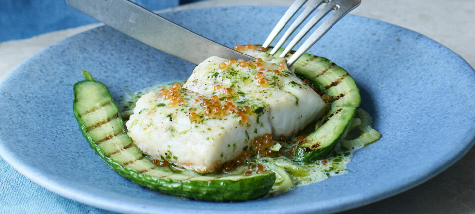 Grillede agurker og kærnemælksdressing?! Sådan har du aldrig tilberedt din fisk før