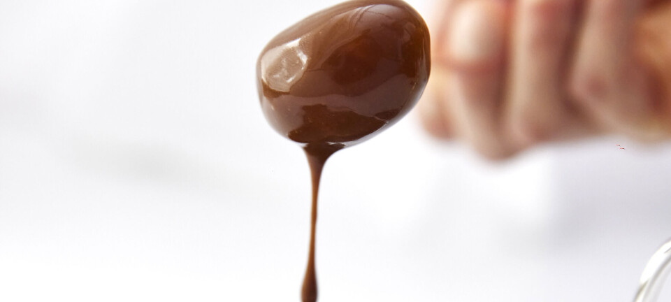 Årets vigtigste sovs: Sådan laver du brun sovs som på Søllerød Kro