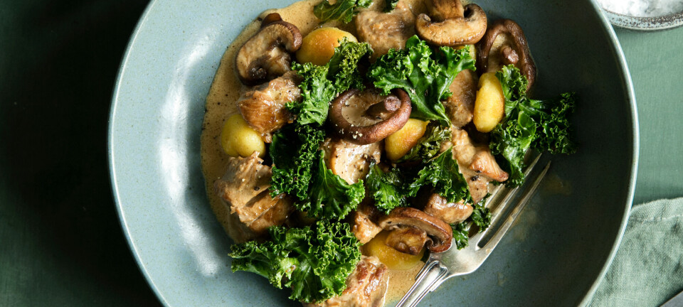 Grydestegt svinenakke med kål, cremet sauce og ristet gnocchi