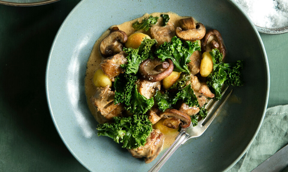 Opskrift: Grydestegt svinenakke med kål, cremet sauce og ristet gnocchi