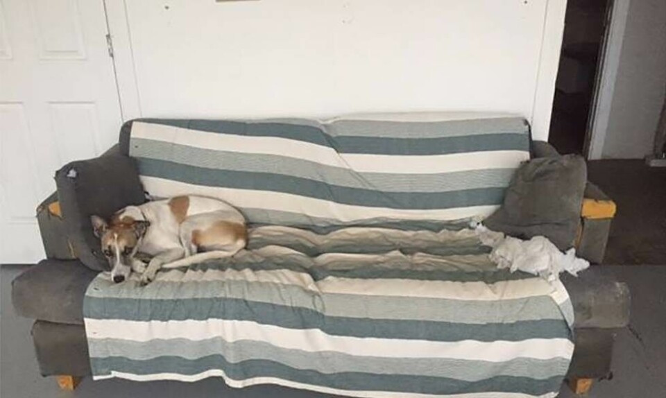 Køb Mac Demarcos sofa