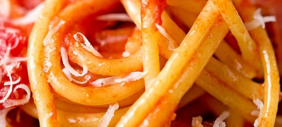Der er seks ingredienser i Roms mest berømte pastaret
