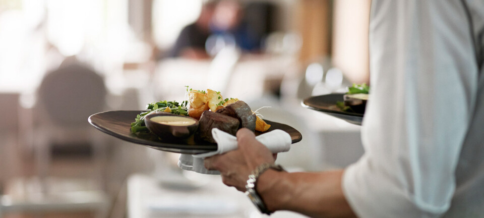 Restauranter til din jagt efter det gode måltid