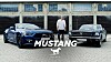 Video: Jeg smiler hver gang, jeg sætter mig ind i min Mustang