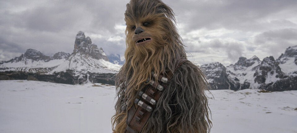 Interview med manden, der spiller Chewbacca: ”Lydene er faktisk en bjørn”