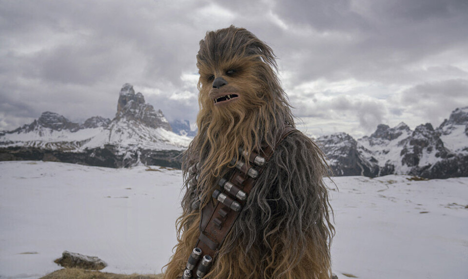 Interview med manden, der spiller Chewbacca: ”Lydene er faktisk en bjørn”