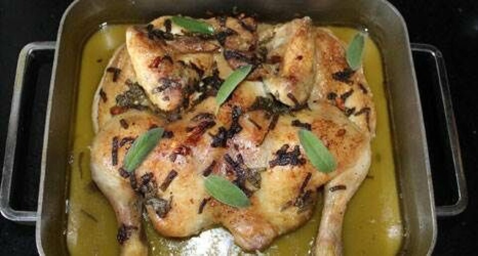 Pollo alla diavola – djævlekylling som i Toscana