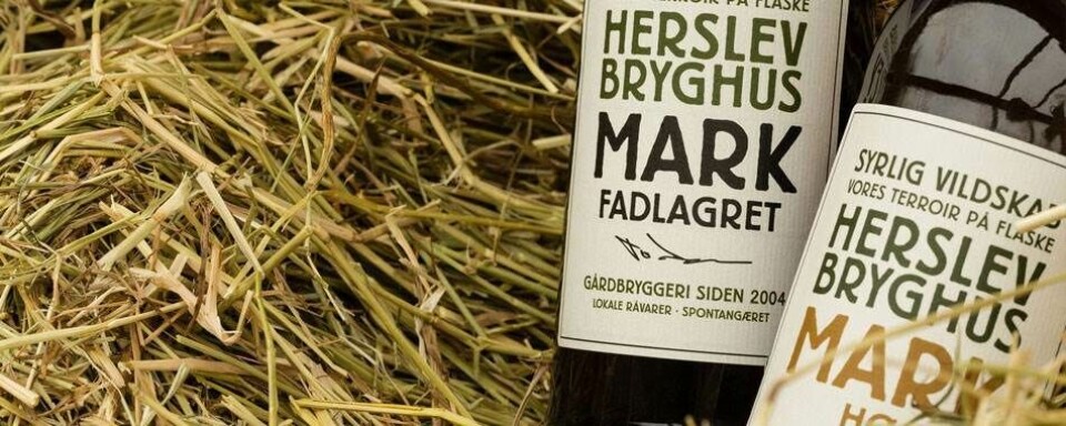 12 steder du kan spise mad til din øl