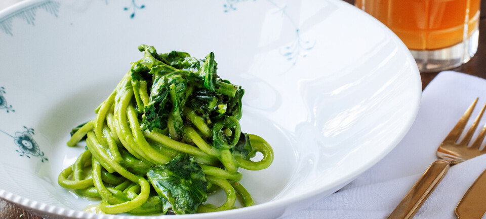 Du kan lave en strålende pastaret med ting, du finder på stranden. Her er hvordan