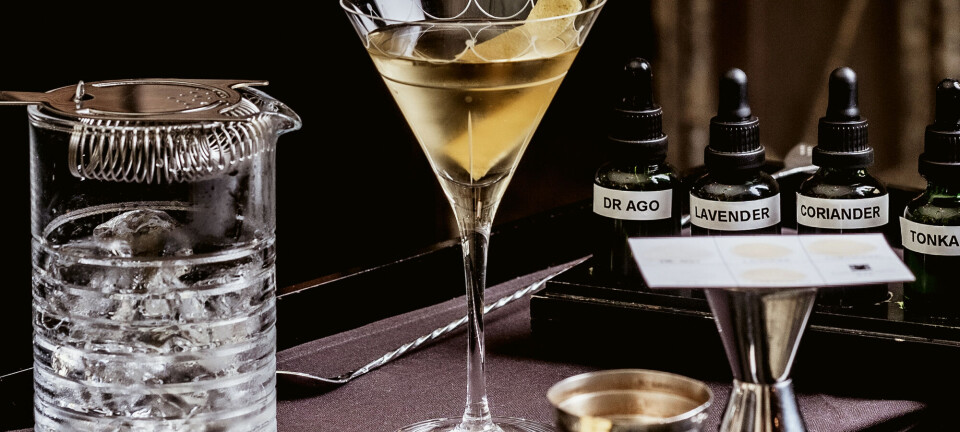 Sådan laver du en perfekt martini