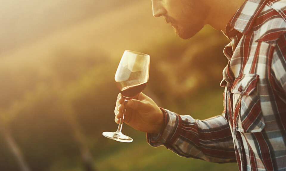 Vinsmagning