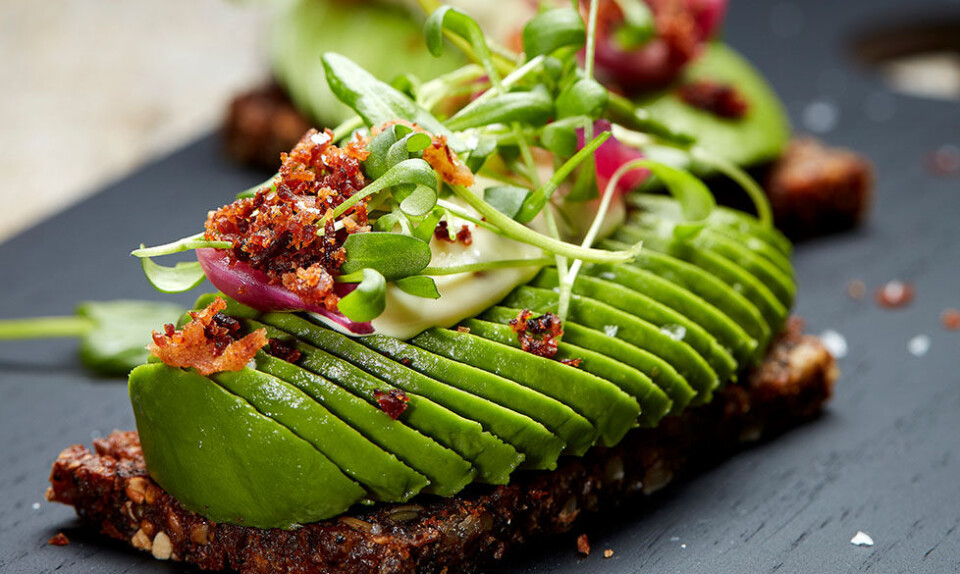 Avocadomad med bacon, baconmayonnaise, syltede løg og urter
