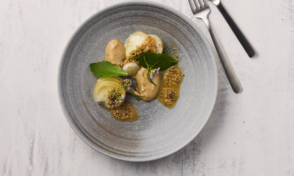 Opskrift: Sådan laver du ’Ravioli’ med gedefriskost à la Kasper Tind Hasse/Falsled Kro