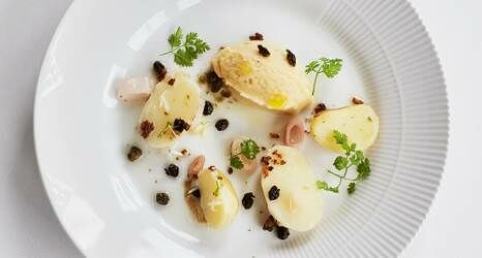 5 opskrifter fra Restaurant Lumskebugten