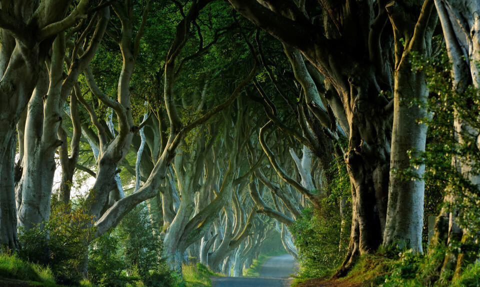 Game of Thrones
