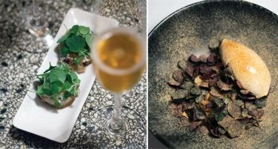 Få 6 opskrifter fra restaurant 1.th