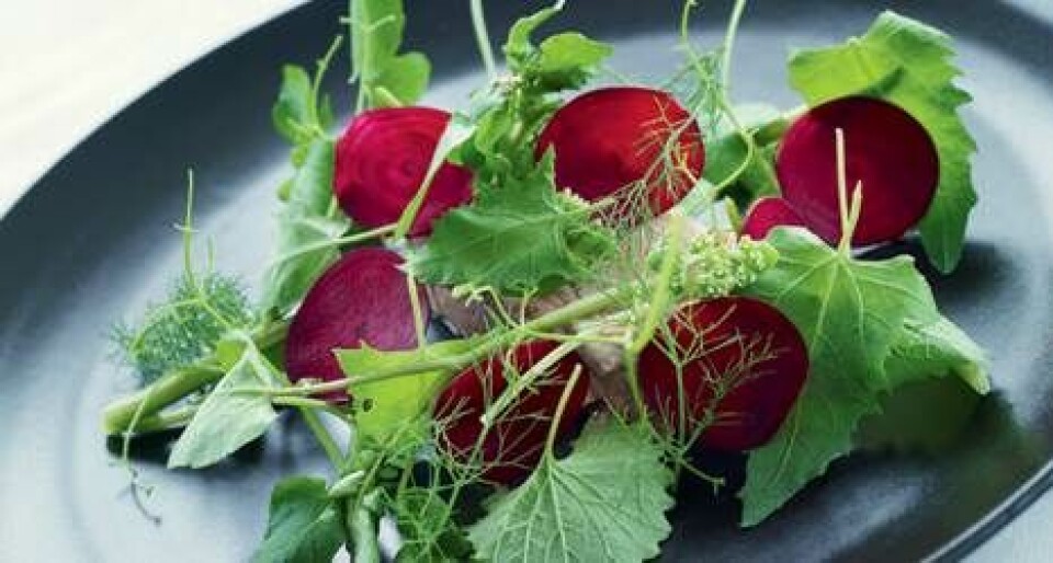 4 opskrifter fra restaurant Koefoed