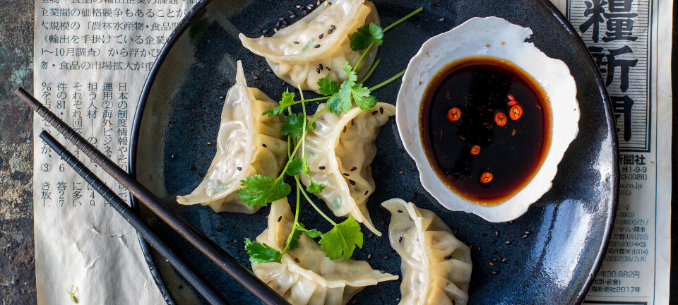 Stegt og dampet gyoza med kylling