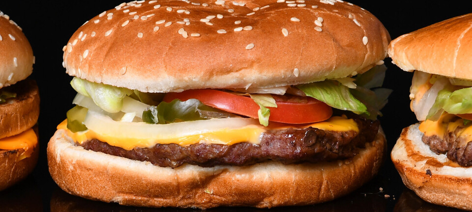 Nu kan du få Burger King leveret til døren