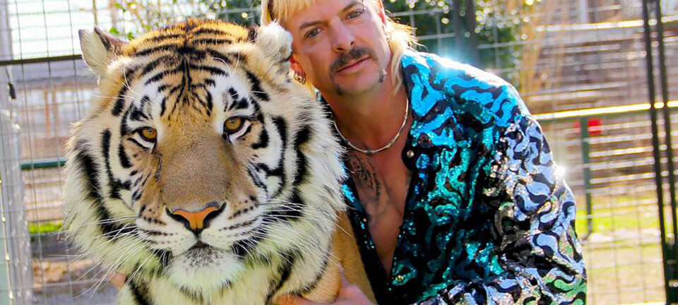 Nyt afsnit af ’Tiger King’ på vej